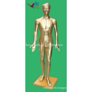 Human Acupuncture Model 178CM (Bronze)